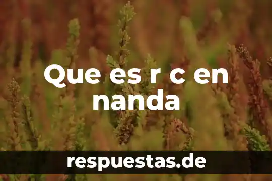 Qué es paradigma de programación utiliza C 5 Que es r c en nanda