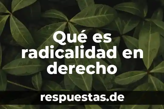 Que es el argumento en derecho 6 Qué es radicalidad en derecho