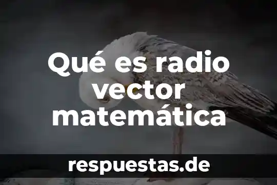 Qué es radio vector matemática