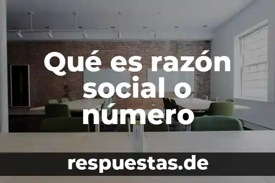 Qué es la organización social 8 Qué es razón social o número