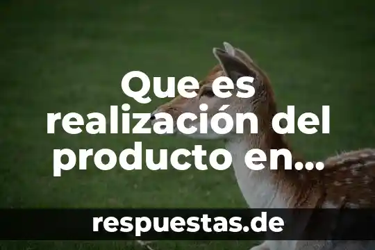 Qué es un superávit abit del producto 8 Que es realización del producto en una empresa