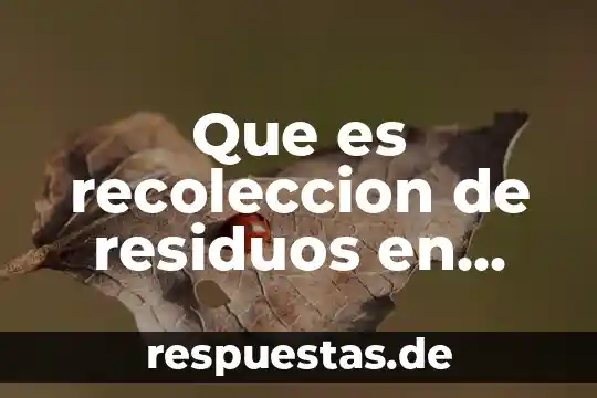 Que es la justicia aplicada en la salud 7 Que es recoleccion de residuos en salud