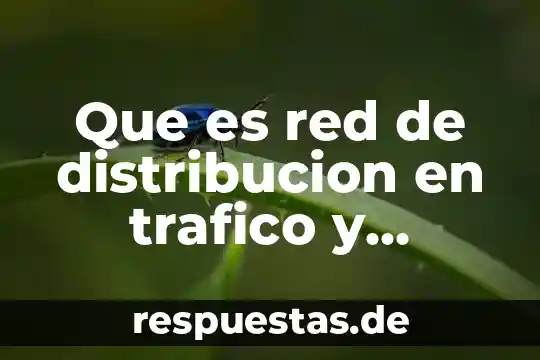 Que es red de distribucion en trafico y transporte