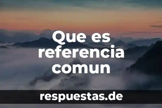 Termómetro común TC que es 7 Que es referencia comun
