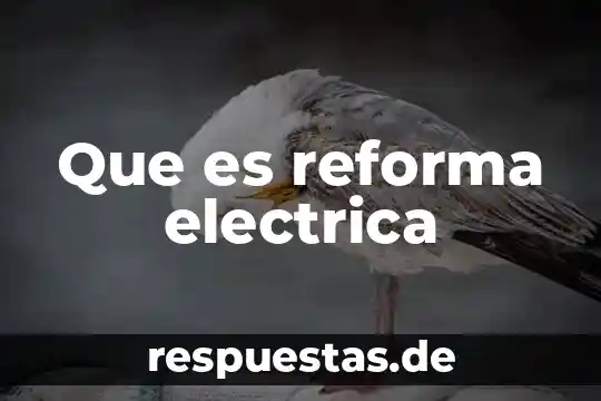 Sociedad legal que es 8 Que es reforma electrica
