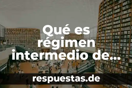Qué es el concepto hetero 4 Qué es régimen intermedio de las personas físicas