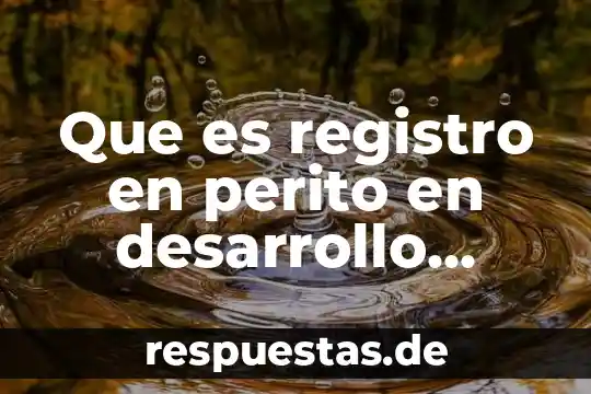 Que es arte urbano en mexico 4 Que es registro en perito en desarrollo urbano