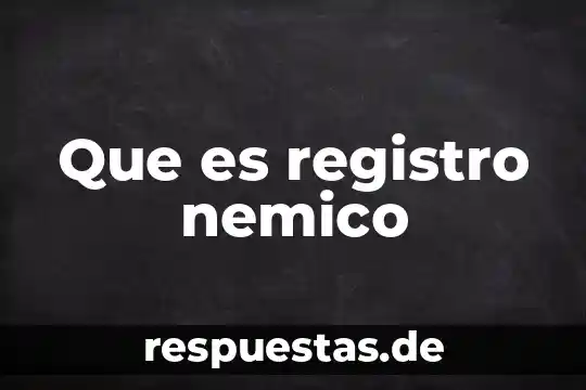 Que es la personalidad de concepto 7 Que es registro nemico