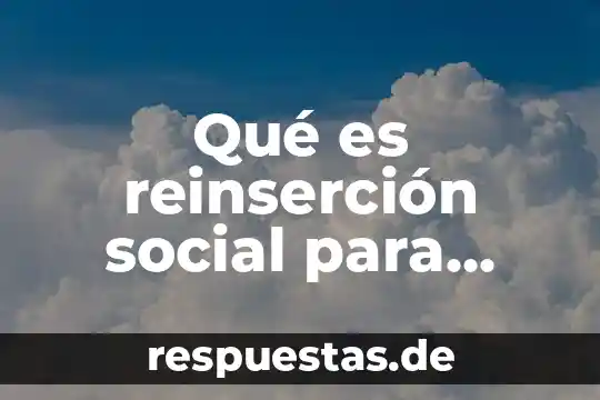 Que es una realidad social sobre una problematica 5 Qué es reinserción social para reclusos