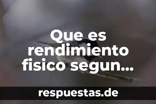 Que es la ilusion del movimiento en el cine 3 Que es rendimiento fisico segun autores