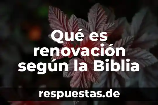 Que es el nombre de una empresa secretaria de economia 3 Qué es renovación según la Biblia