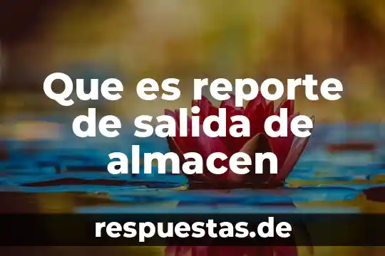 Que es reporte de salida de almacen