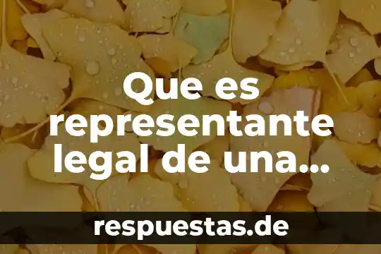 Qué es el representante legal de una sociedad 4 Que es representante legal de una asociacion civil