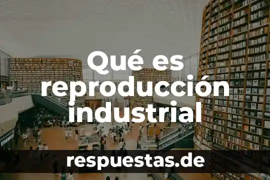 Qué es el área funcional de reproducción 7 Qué es reproducción industrial