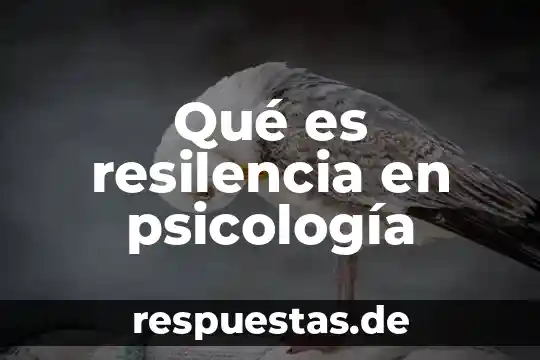 Que es paradigma en la psicologia en la salud 5 Qué es resilencia en psicología