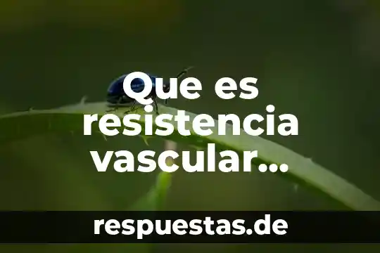 Que es una resistencia y tipos de resistencia 3 Que es resistencia vascular sistemica