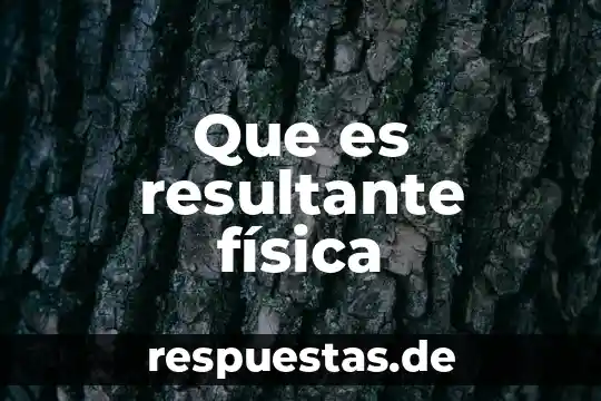 Que es resultante física