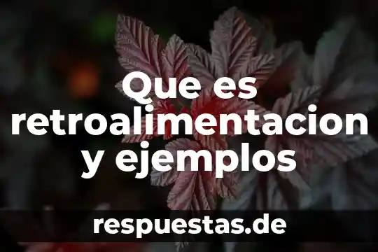 Que es sufijo latino ejemplos 8 Que es retroalimentacion y ejemplos