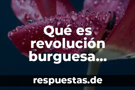 Qué es la cultura zapoteca Yahoo 3 Qué es revolución burguesa Yahoo