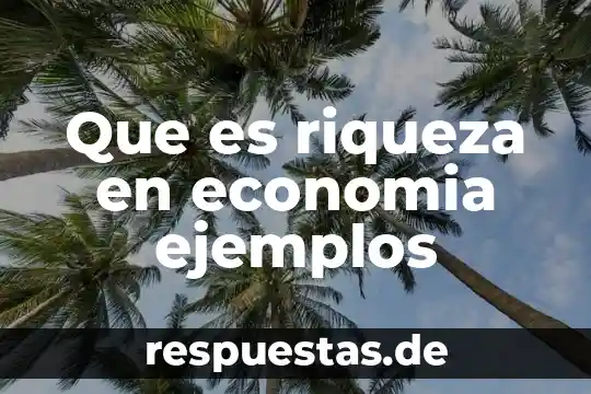 Que es el sistema de nombre de dominio ejemplos 3 Que es riqueza en economia ejemplos