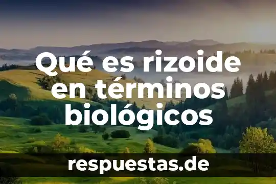 Que es un bien inferior en terminos de ingresos 8 Qué es rizoide en términos biológicos