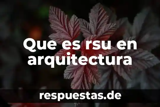 Que es una planta en forma de cono arquitectura 6 Que es rsu en arquitectura
