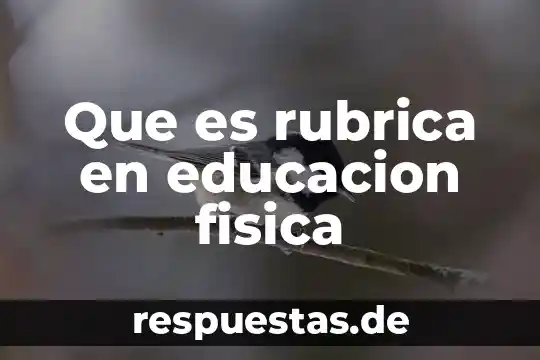 Que es percentil en educación física 8 Que es rubrica en educacion fisica