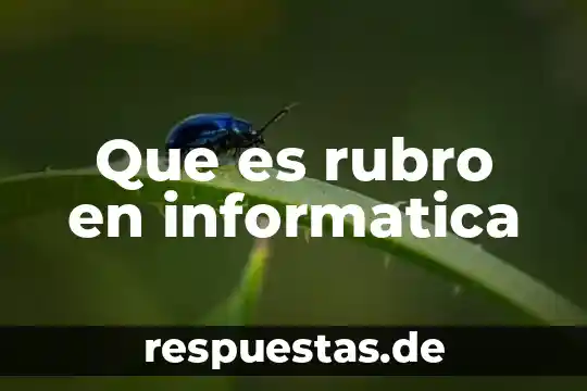 Que es el programa dove animate 7 Que es rubro en informatica