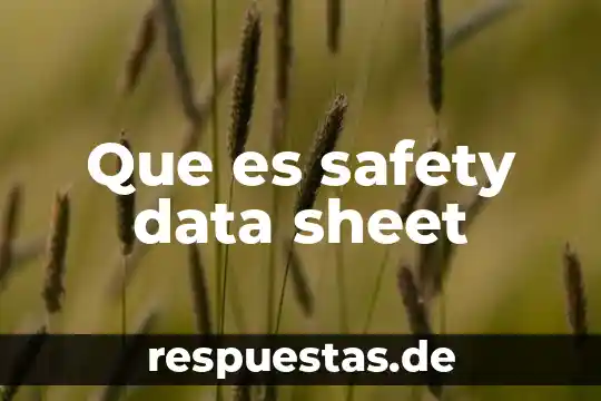 Qué es el data link modo S CPDLC 5 Que es safety data sheet