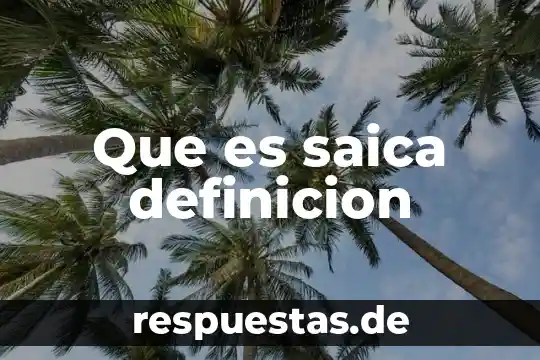 Que es saica definicion
