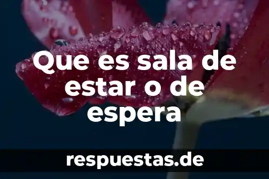 Qué es un modelo de líneas de espera 4 Que es sala de estar o de espera