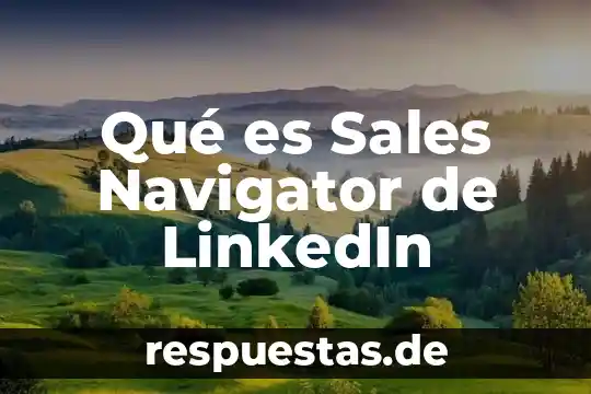 Sales de litio para que es 5 Qué es Sales Navigator de LinkedIn