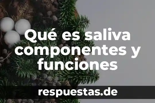 Que es el conocimiento de embarque en contabilidad 4 Qué es saliva componentes y funciones