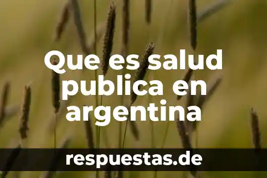 Rectificacion de nombre en escritura publica que es 3 Que es salud publica en argentina