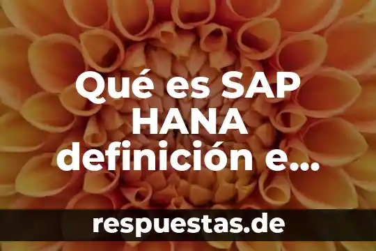 Qué es SAP HANA definición e libro