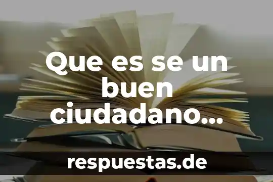 Que es ser ciudadano en democracia 4 Que es se un buen ciudadano trackid sp-006