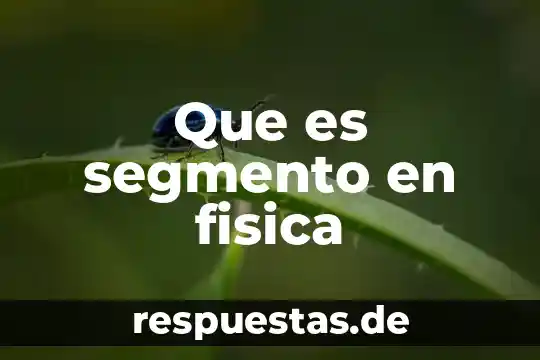 ¿Qué es un punto medio de un segmento en geometría? 3 Que es segmento en fisica