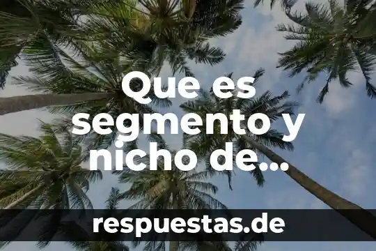 Que es segmento en fisica 3 Que es segmento y nicho de mercado ejemplos