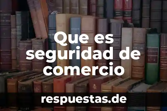 Que es la seguridad en una sociedad 5 Que es seguridad de comercio