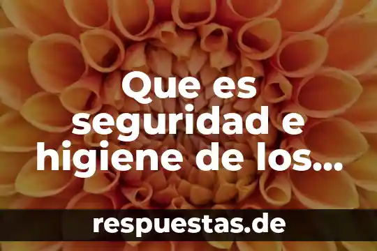 P.o.e que es higiene y seguridad 7 Que es seguridad e higiene de los procesos