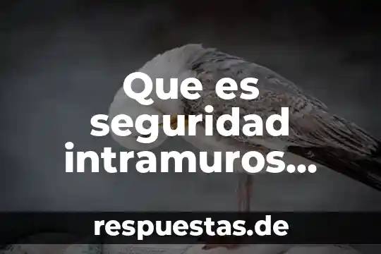 Que es la seguridad de un centro de computo 8 Que es seguridad intramuros concepto