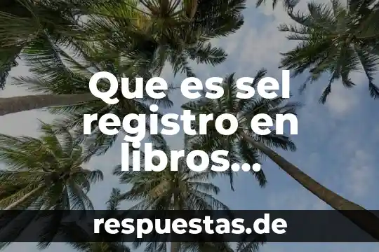 Que es un registro en preescolar 4 Que es sel registro en libros auxiliares