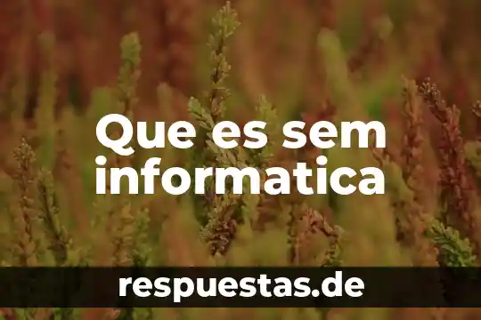 Que significa o que es un http en informatica 5 Que es sem informatica