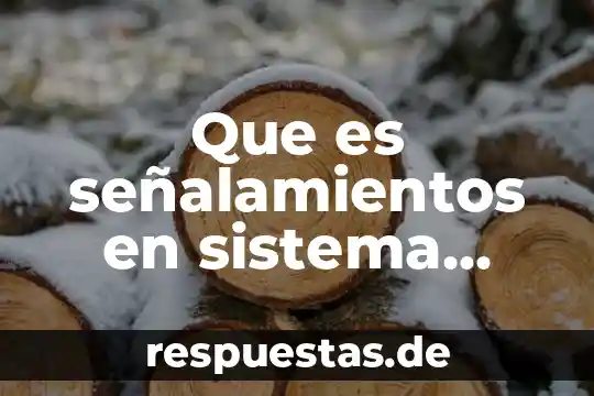 Que es señalamientos en sistema braille