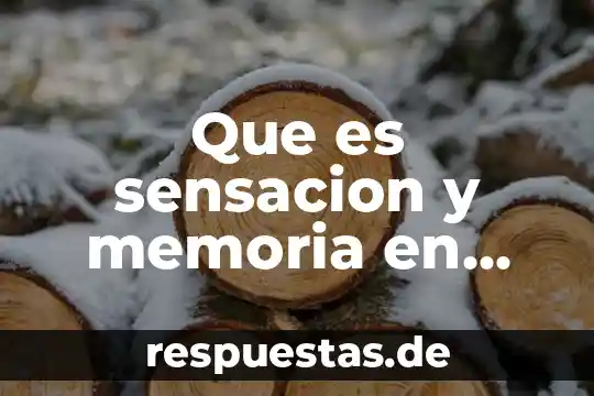 Que es la filosofia animal 8 Que es sensacion y memoria en filosofia