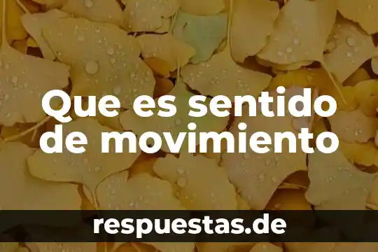 Que es cultura por sentido comun 4 Que es sentido de movimiento