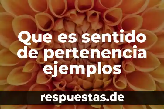 Que es un vida sin sentido y otra con sentido 5 Que es sentido de pertenencia ejemplos