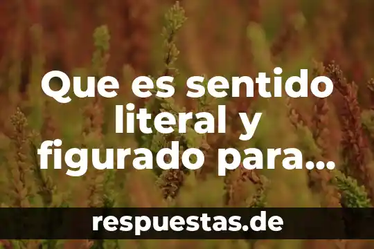 Que es cultura por sentido comun 7 Que es sentido literal y figurado para niños