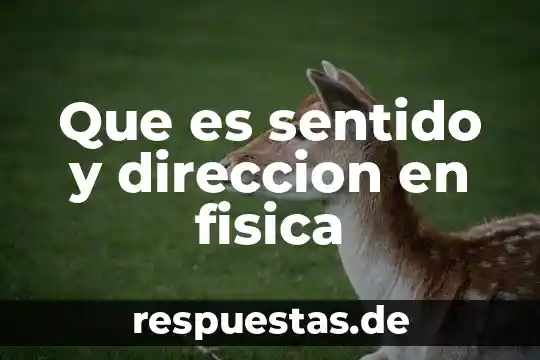 Que es el programa dove animate 5 Que es sentido y direccion en fisica