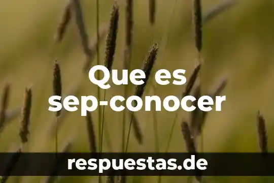 Que es postas periodismo 8 Que es sep-conocer